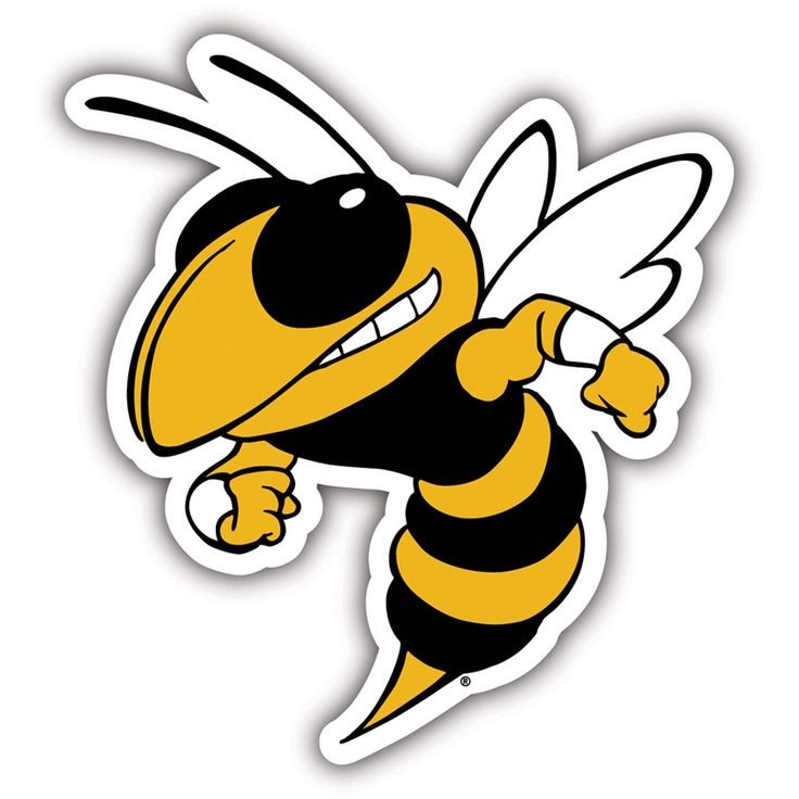 yellowjacket